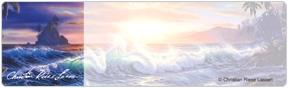 Splendid Shores Address Labels