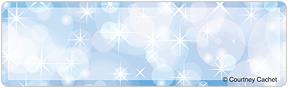 Champagne Sparkles Address Labels