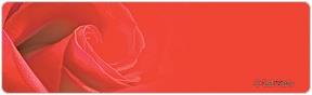 Gail Marie Roses Address Labels