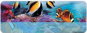 Steve Sundram Tropical Fish Address Labels