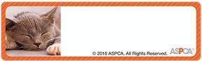 ASPCA® Kittens Address Labels