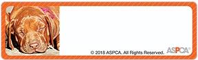 ASPCA® Puppies Address Labels