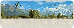 Beautiful America Address Labels