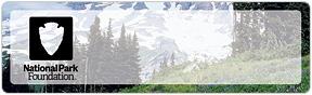 Image of Scene 2