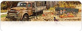 Image of Scene 5