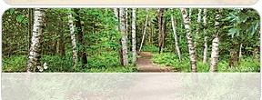 Image of Scene 7