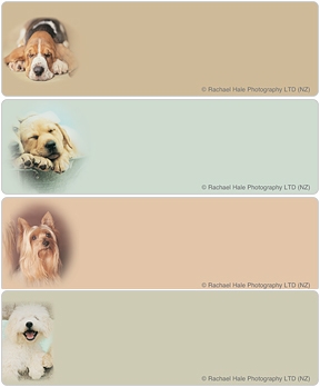 rachaelhale® Dog-ology Address Labels