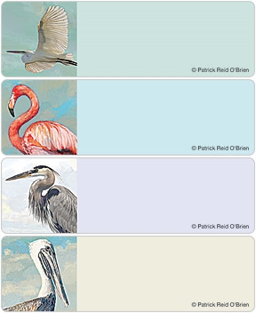 Shore Birds Address Labels