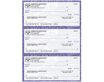 Park Avenue Desk Register Checks